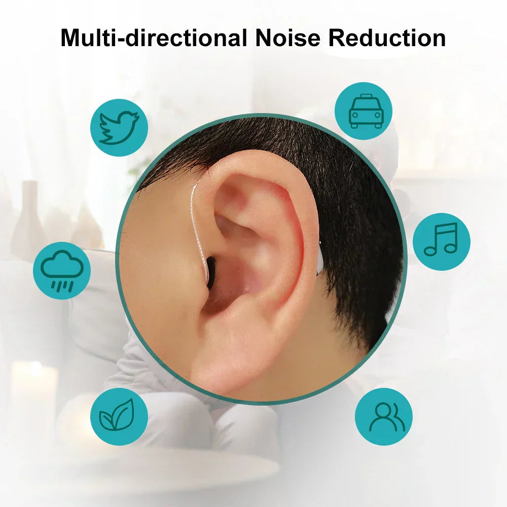 🌸💰 Save Big –TIWORLD™ Hearing Aid 🌐🎧 – Clear Sound, Noise Reduction, AI Translation Option 🐷