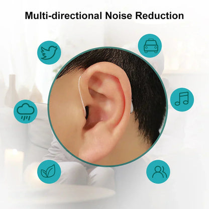 🌸💰 Save Big –TIWORLD™ Hearing Aid 🌐🎧 – Clear Sound, Noise Reduction, AI Translation Option 🐷